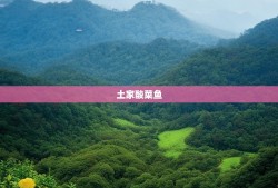 渝东北十二县漫游记，土家酸菜鱼与苗族银饰的双重盛宴