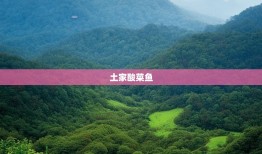 渝东北十二县漫游记，土家酸菜鱼与苗族银饰的双重盛宴