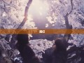 渝北漫游，龙溪至玉峰山的魔幻与现实之旅