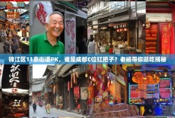 锦江区11条街道PK，谁是成都C位扛把子？老杨带你逛吃揭秘