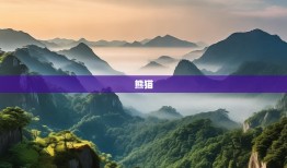 眉山十二时辰，东坡肘子与熊猫的慢生活禅意