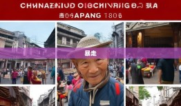 老杨暴走锦江区11街道，春熙路到锦华路逛吃全攻略