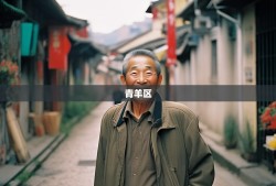 老杨带你暴走青羊区12街巷，从草市街笑傲到康河！