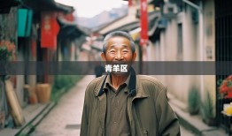 老杨带你暴走青羊区12街巷，从草市街笑傲到康河！