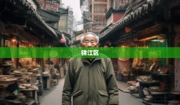 老杨暴走锦江区，11条街道探秘，区政府竟藏身神秘角落！