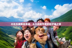 川北五县爆笑奇遇，从三台到平武的肚子痛之旅