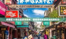 武侯区15条街道暴走指南，老杨带你笑游浆洗街到桂溪！