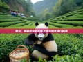 雅安，熊猫故乡的茶香之旅与爆笑旅行糗事