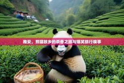 雅安，熊猫故乡的茶香之旅与爆笑旅行糗事