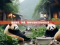 雨城雅安，熊猫、茶香与湿意交织的慢生活