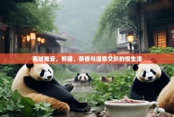 雨城雅安，熊猫、茶香与湿意交织的慢生活