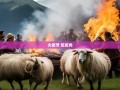 凉山火把节奇遇，坨坨肉盛宴与惊险羊群追逐记