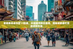 老杨暴走成华区11街道，从猛追湾到白莲池，揭秘成都最忙区政府所在地