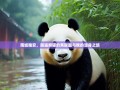 雨城雅安，邂逅熊猫的黑眼圈与我的湿身之旅