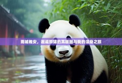 雨城雅安，邂逅熊猫的黑眼圈与我的湿身之旅