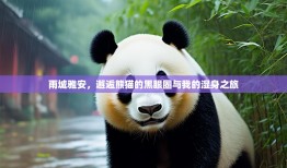 雨城雅安，邂逅熊猫的黑眼圈与我的湿身之旅