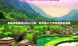 老杨带你解锁川东小江南，梁平县31个乡镇漫游全攻略