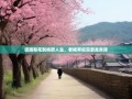 驿路梨花到桃醉人生，老杨带你漫游龙泉驿