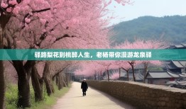驿路梨花到桃醉人生，老杨带你漫游龙泉驿