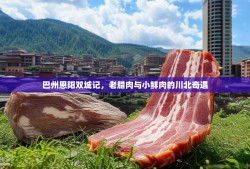 巴州恩阳双城记，老腊肉与小鲜肉的川北奇遇