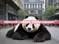 老杨暴走成华区11街累瘫熊猫，猛追湾政府大楼暗藏玄机？