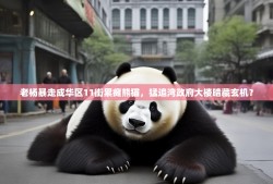 老杨暴走成华区11街累瘫熊猫，猛追湾政府大楼暗藏玄机？