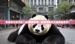 老杨暴走成华区11街累瘫熊猫，猛追湾政府大楼暗藏玄机？