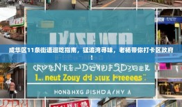 成华区11条街道逛吃指南，猛追湾寻味，老杨带你打卡区政府！