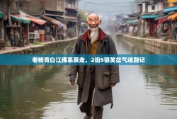 老杨青白江佛系暴走，2街5镇笑岔气迷路记
