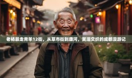老杨暴走青羊12街，从草市街到康河，笑泪交织的成都漫游记