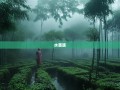 黔驴技穷？探秘水苗族土家族自治县的魔幻8D迷宫