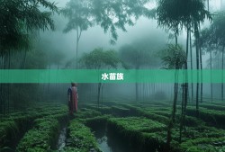 黔驴技穷？探秘水苗族土家族自治县的魔幻8D迷宫