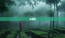 黔驴技穷？探秘水苗族土家族自治县的魔幻8D迷宫