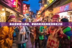 暴走武侯区15条街，老杨的浆洗街到桂溪爆笑之旅