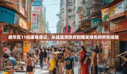 成华区11街道奇遇记，从猛追湾政府到爆笑地名的欢乐探险