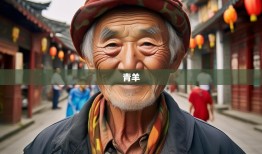 老杨带你笑游青羊，十二街巷漫游记