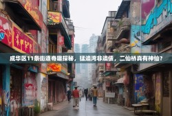 成华区11条街道奇趣探秘，猛追湾非追债，二仙桥真有神仙？