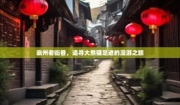 崇州老街巷，追寻大熊猫足迹的漫游之旅