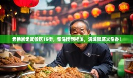 老杨暴走武侯区15街，浆洗街到桂溪，满城飘荡火锅香！