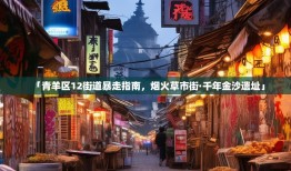 「青羊区12街道暴走指南，烟火草市街·千年金沙遗址」