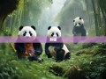 雅安不安，旅游博主探秘熊猫老家的奇幻萌趣之旅