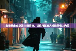 老杨暴走成华区11街揭秘，猛追湾政府大楼隐藏惊人内幕！