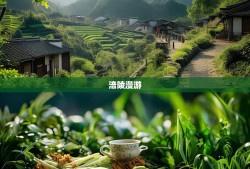 榨菜之乡的慢生活，涪陵漫游与涪利人生