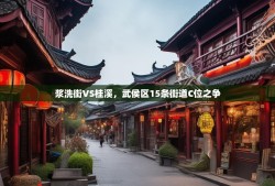 浆洗街VS桂溪，武侯区15条街道C位之争