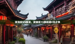 浆洗街VS桂溪，武侯区15条街道C位之争
