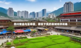 四川荣县与富顺县，藏富于民的县域经济双雄