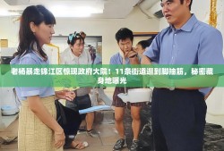 老杨暴走锦江区惊现政府大院！11条街道逛到脚抽筋，秘密藏身地曝光