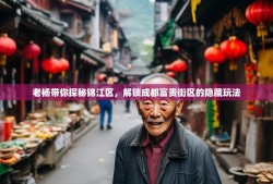 老杨带你探秘锦江区，解锁成都富贵街区的隐藏玩法
