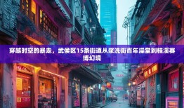 穿越时空的暴走，武侯区15条街道从浆洗街百年澡堂到桂溪赛博幻境